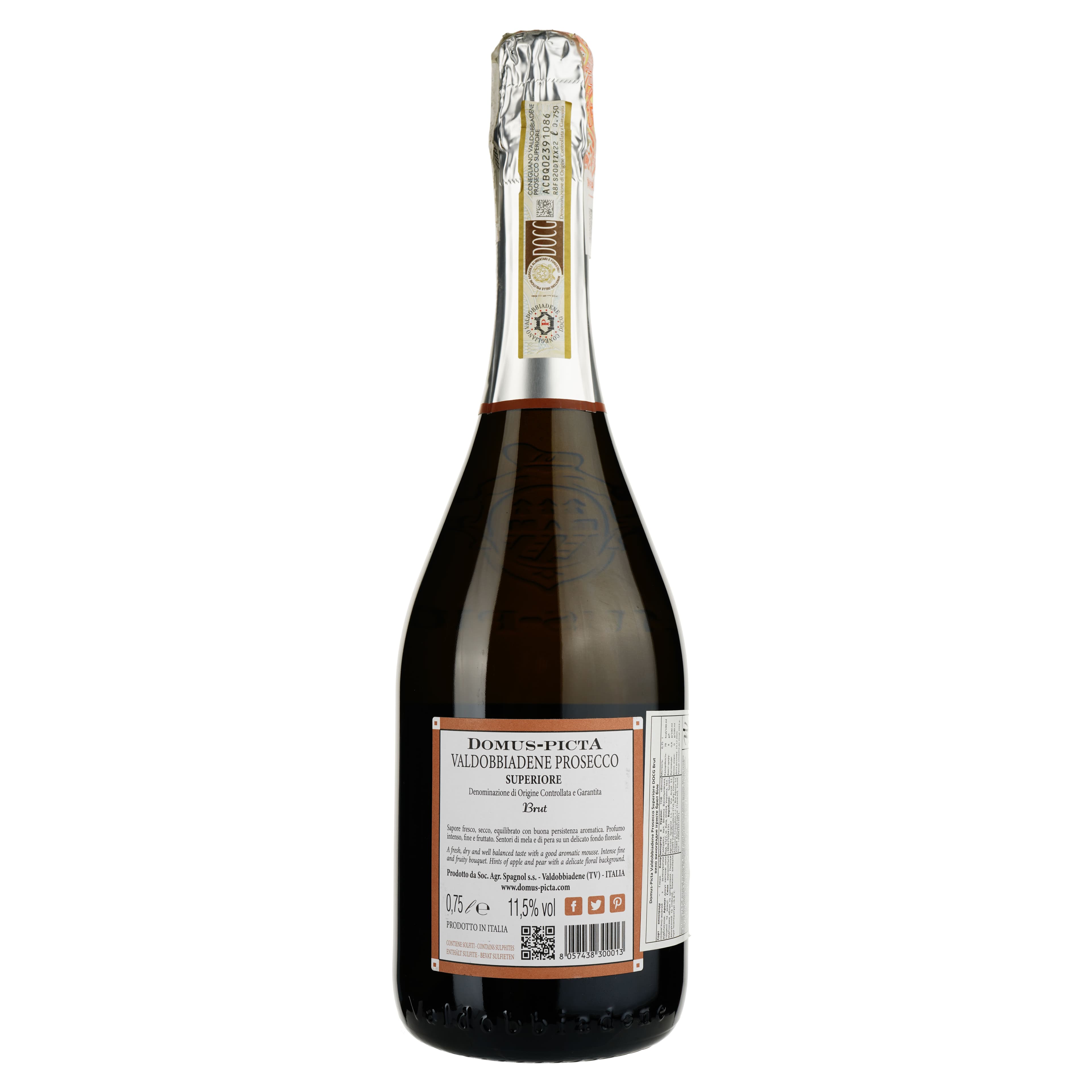 Ігристе вино Domus-pictA Valdobbiadene Prosecco Superiore DOCG Brut, біле, брют, 0,75 л - зображення 2