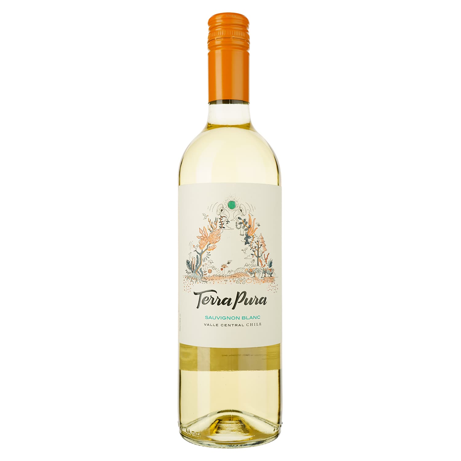 Вино Terra Pura Sauvignon Blanc, біле, сухе, 0,75 л - зображення 1