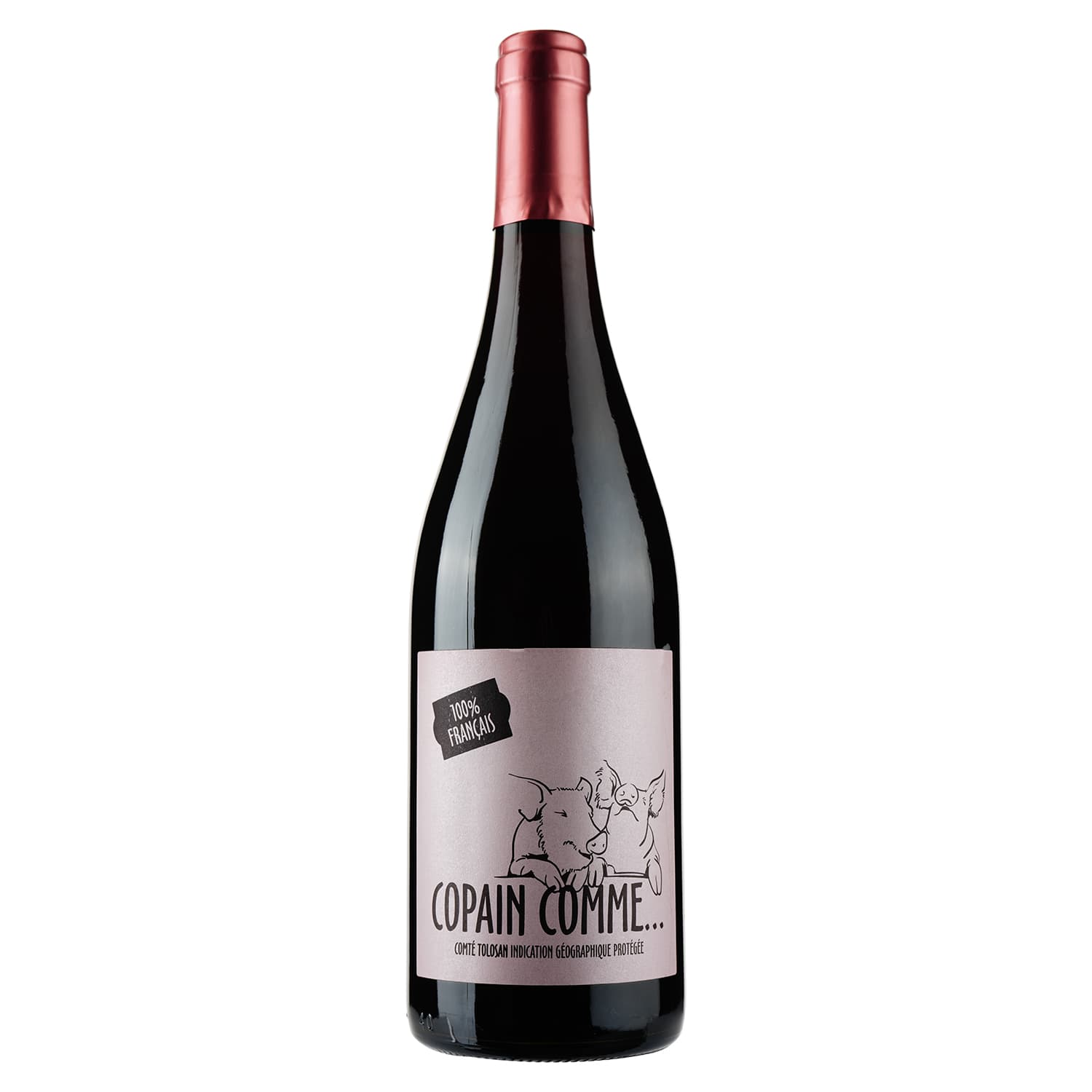 Вино Aujoux Copain Comme, червоне, сухе, 0,75 л - зображення 1