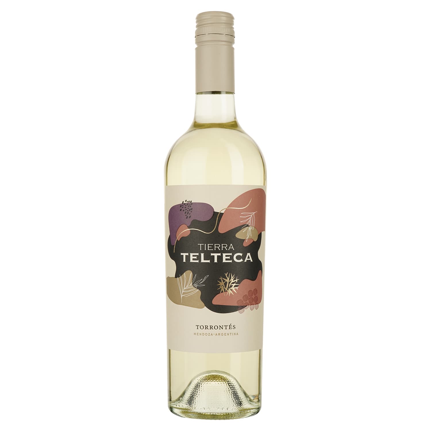 Вино Tierra Telteca Torrontes біле сухе 0.75 л - зображення 1