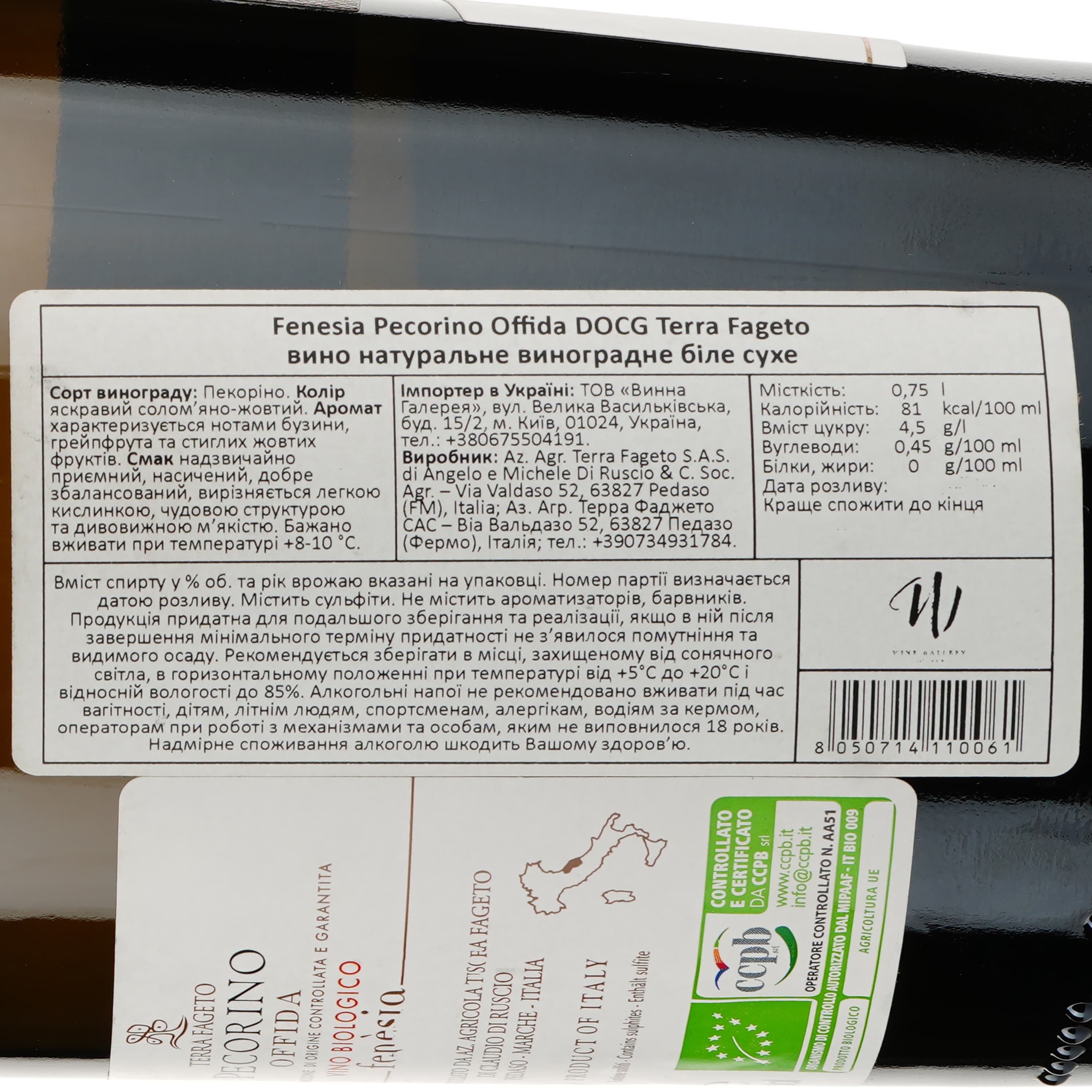 Вино Terra Fageto Fenesia Pecorino Offida DOCG, біле, сухе, 0.75 л - зображення 3