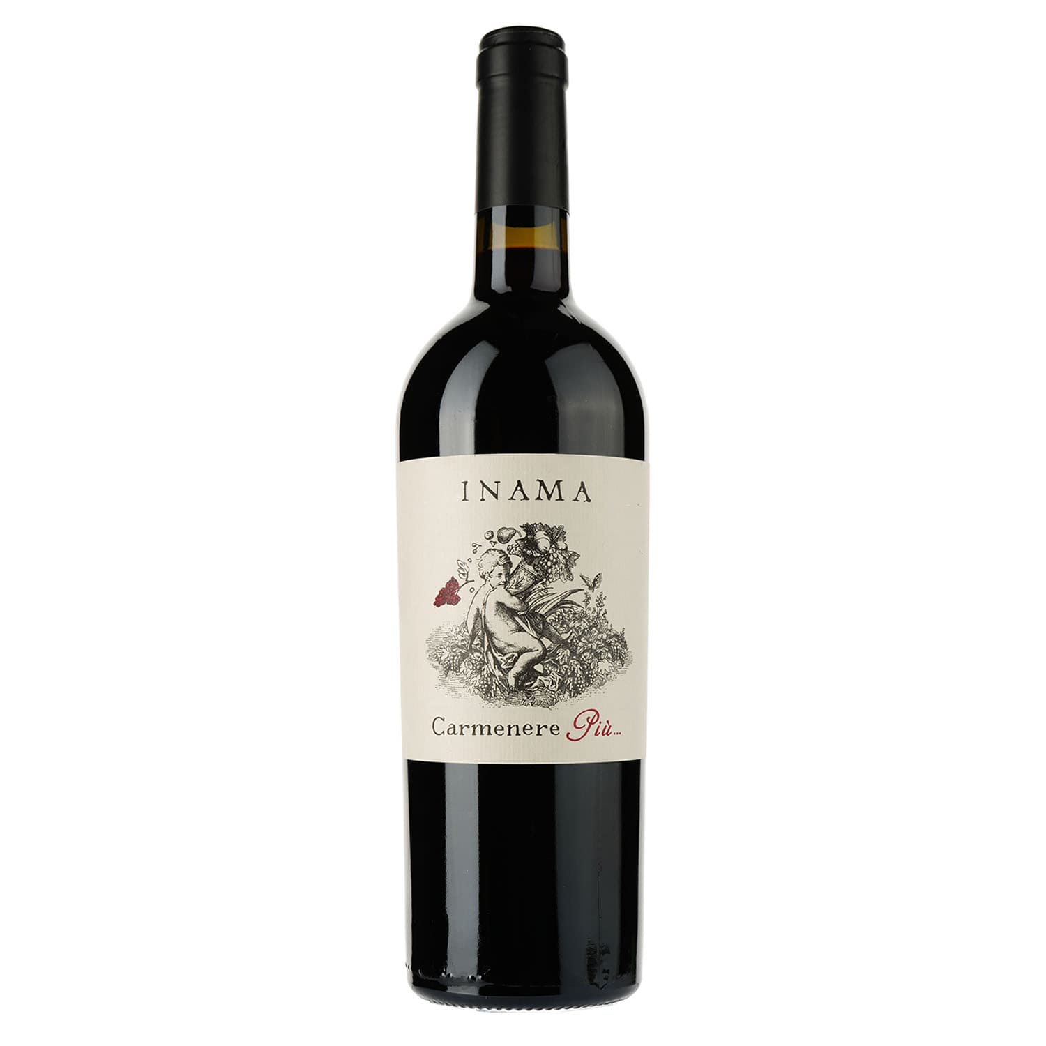 Вино Inama Carmenere Piu Veneto Rosso IGT 0.75 л - зображення 1