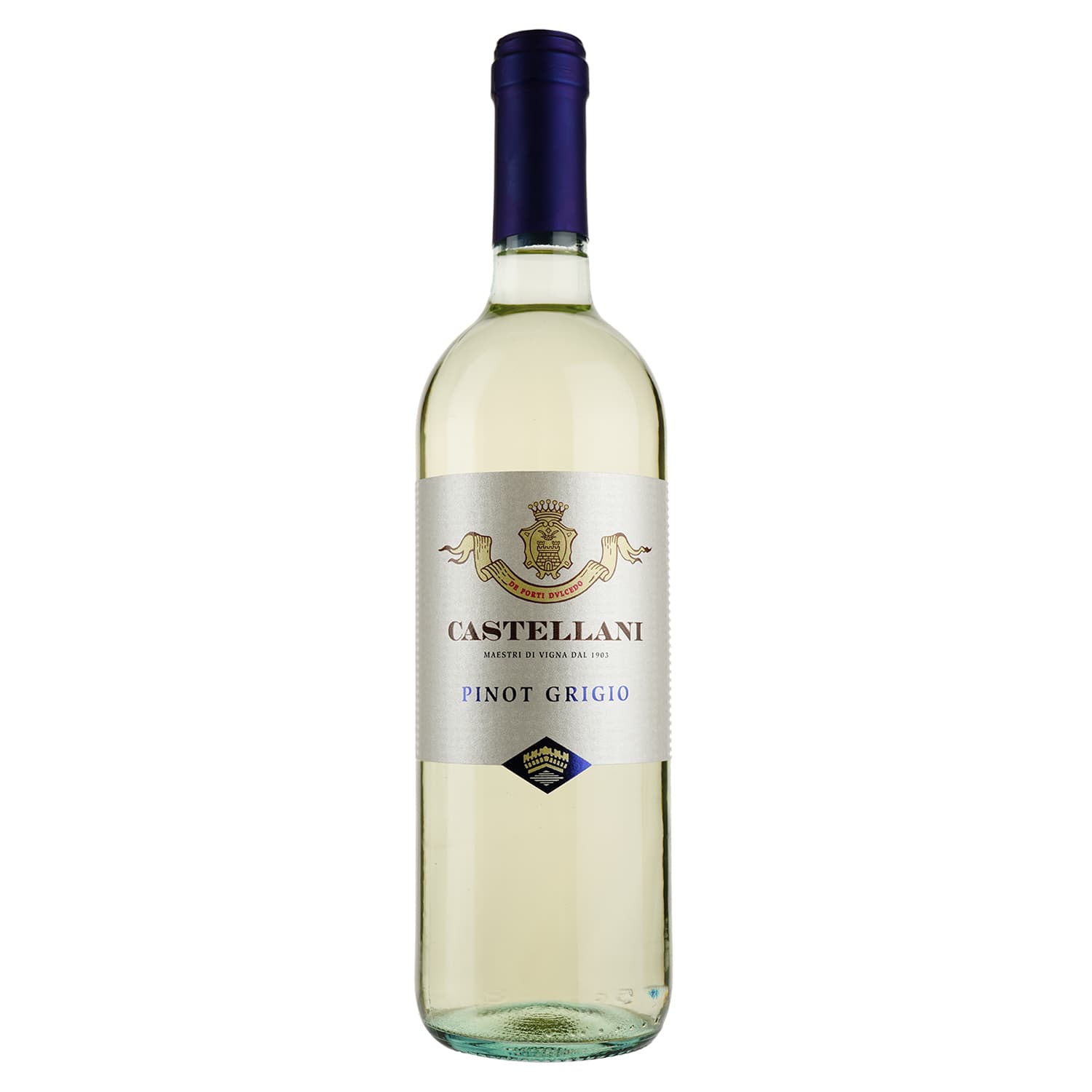 Вино Castellani Pinot Grigio IGT, біле, сухе, 12%, 0,75 л - зображення 1