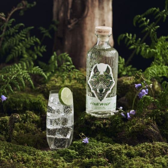 Джин BrewDog LoneWolf Mexican Lime & Cactus Gin 38% 0.7 л - зображення 2