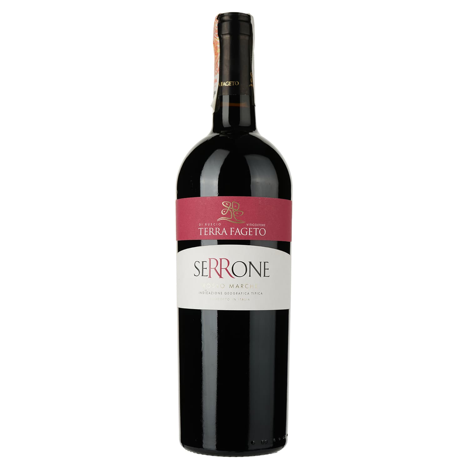 Вино Terra Fageto Serrone Marche Rosso IGT, червоне, сухе, 0,75 л - зображення 1