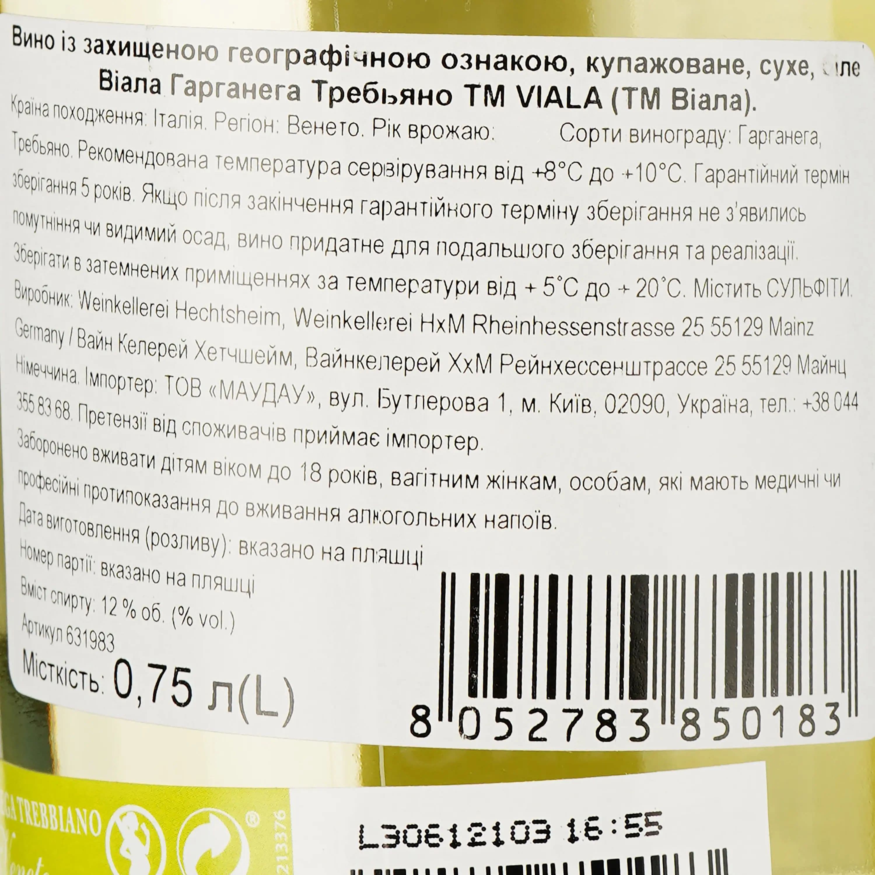 Вино Viala Garganega Trebbiano IGT Veneto біле сухе 0.75 л - зображення 3