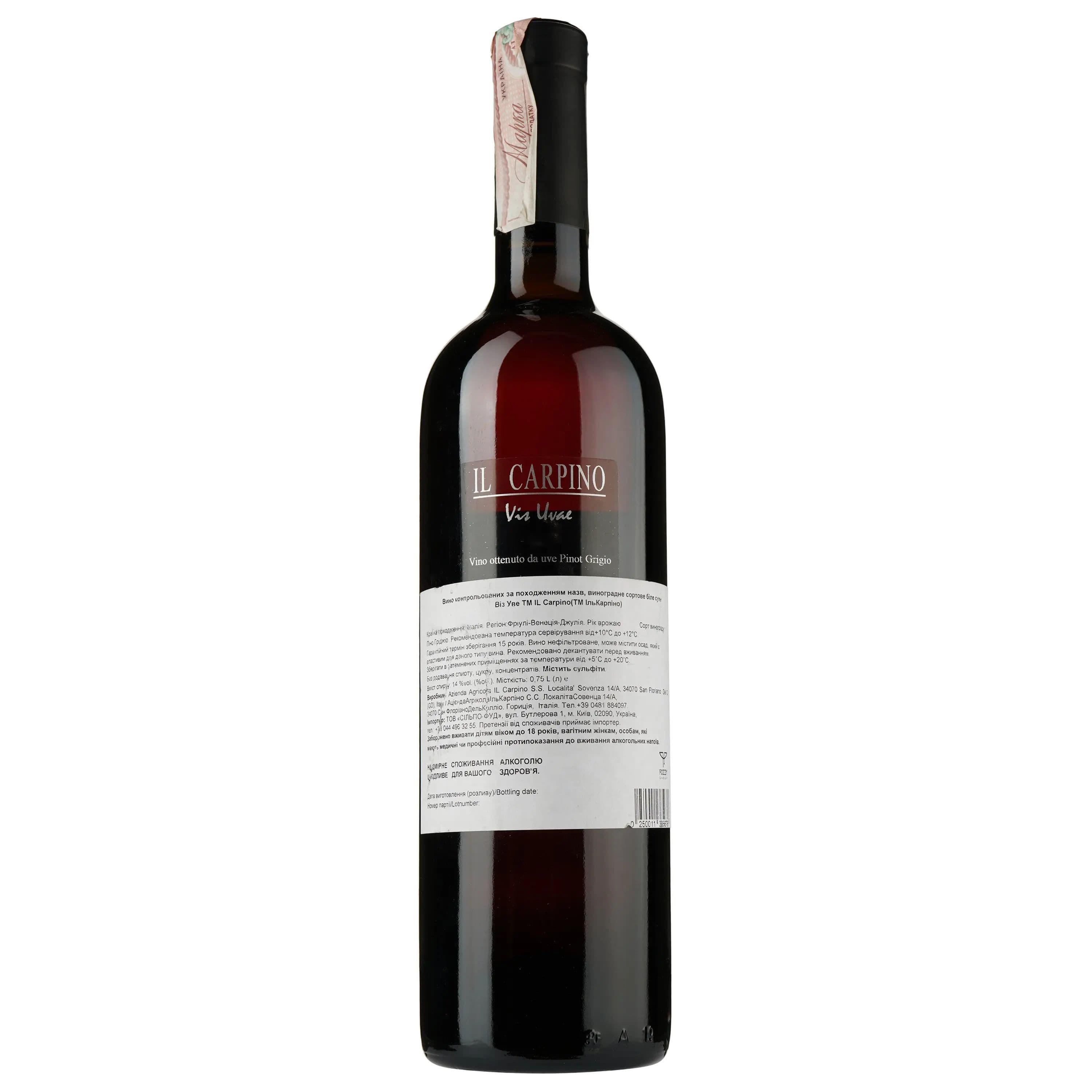 Вино Il Carpino Vini Macerati Vis Uvae 2010 IGT, 14%, 0,75 л (806081) - зображення 2