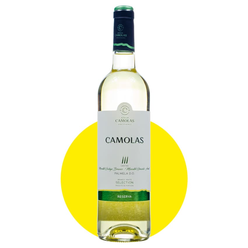Вино "Camolas Selection Reserve" біле сухе 0,75л 13%