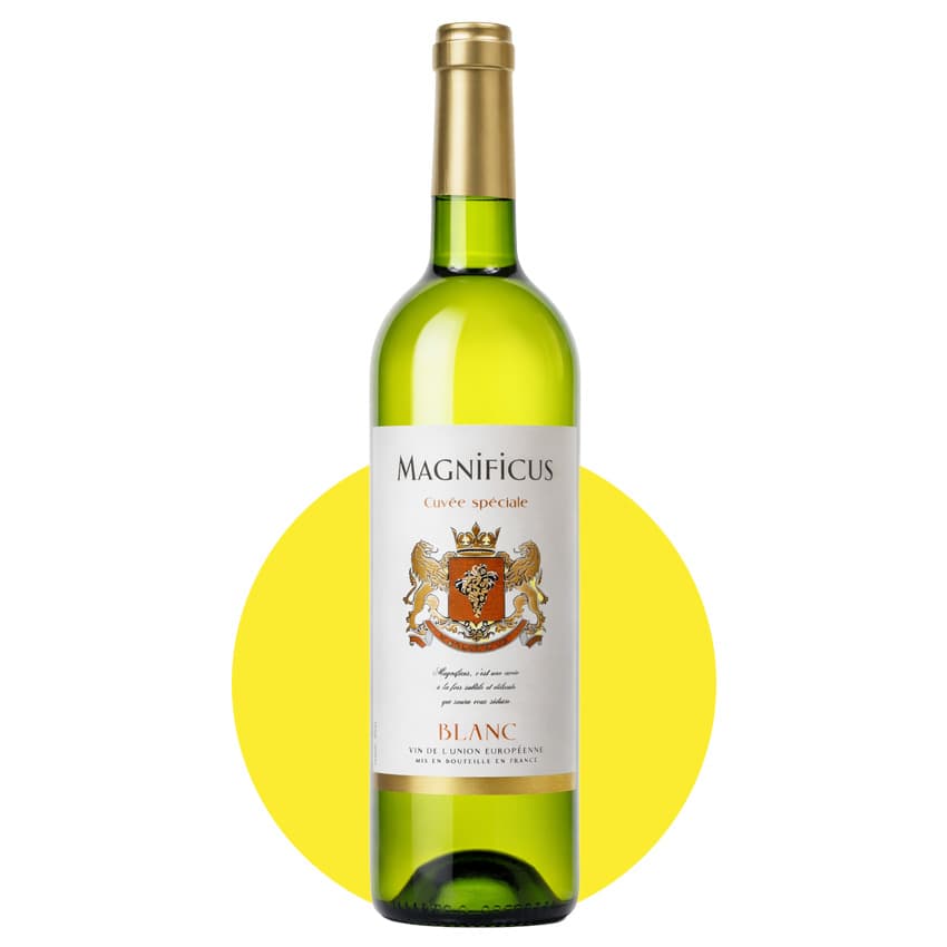 Вино "Magnificus Blank Sec" біле сухе 0,75л 11%