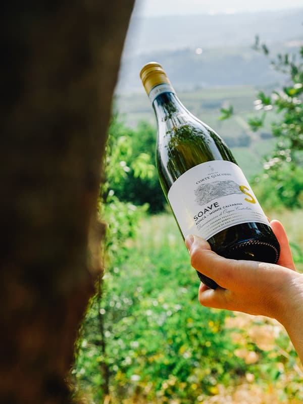 Вино Соаве / Soave, Tenuta di Corte Giacobbe, біле сухе 0.75л