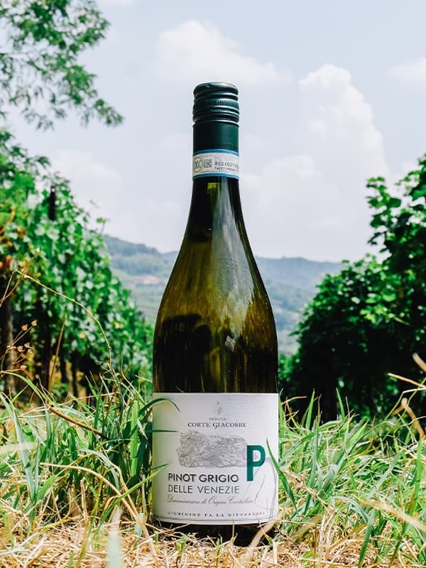 Вино Піно Гріджио делла Венеція / Pinot Grigio delle Venezie, Tenuta di Corte Giacobbe, біле сухе 0.75л