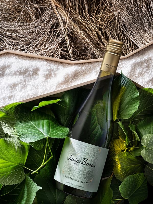 Вино Совіньйон Блан / Sauvignon Blanc, Luigi Bosca, біле сухе 0.75л