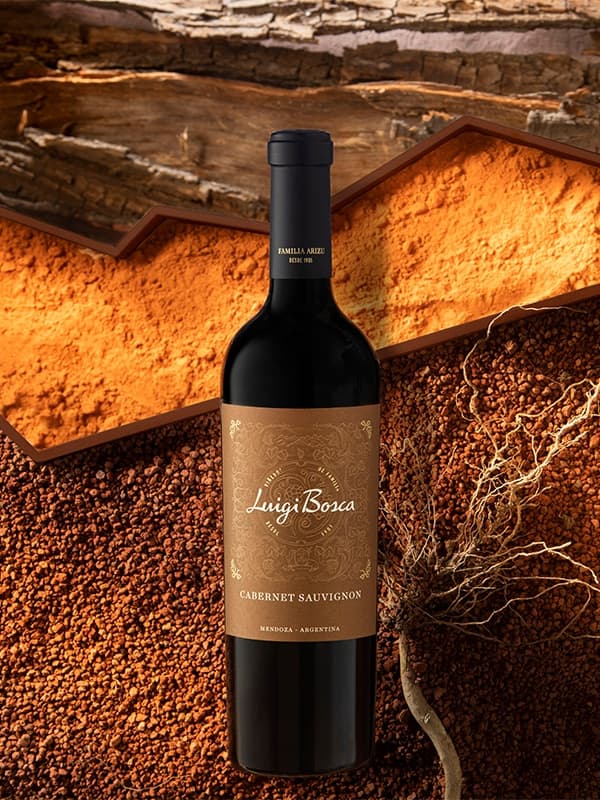 Вино Каберне Совіньнон / Cabernet Sauvignon, Luigi Bosca, червоне сухе 0.75л