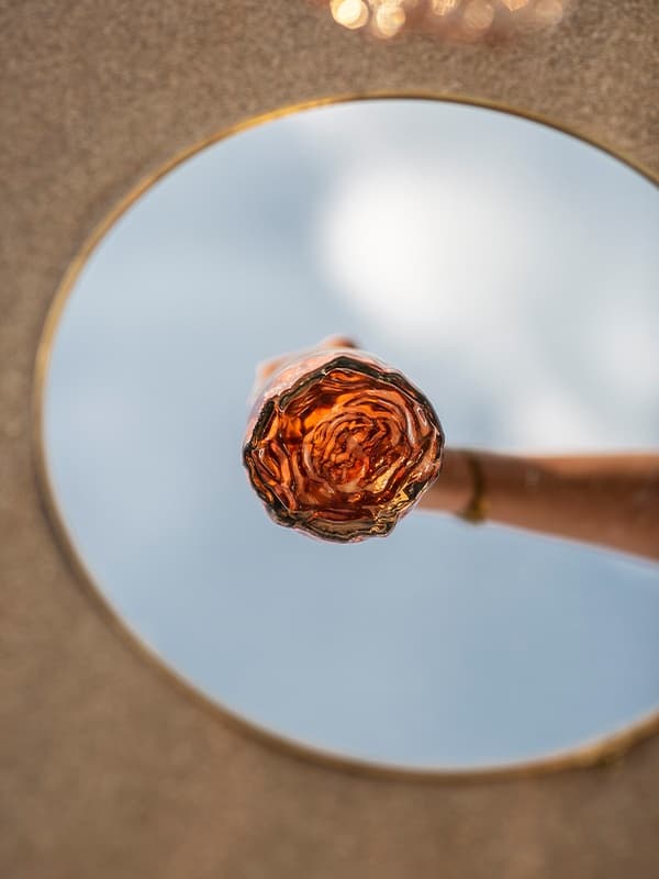 Вино Кот Де Роз, Розе / Cote Des Roses, Rose, Gerard Bertrand, рожеве сухе 0.75л