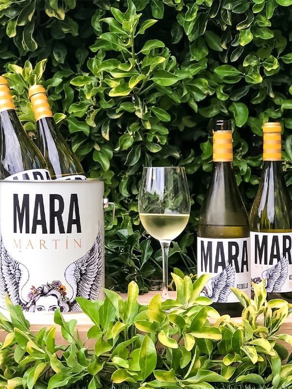 Вино Мара, Годельо / Mara, Godello, Martin Codax, біле сухе 0.75л