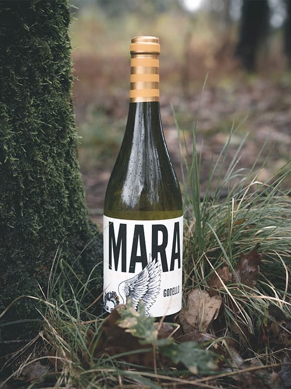 Вино Мара, Годельо / Mara, Godello, Martin Codax, біле сухе 0.75л