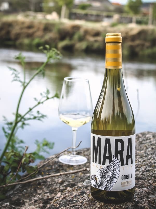 Вино Мара, Годельо / Mara, Godello, Martin Codax, біле сухе 0.75л