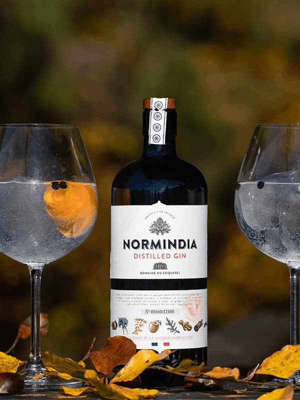 Джин Норміндіа, Дістілд / Normindia, Distilled, Coquerel, 41.4%, 0.7л