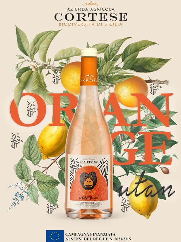 Вино Оранг-утанг Б'янко, Тере Сициліане / Orange-utan Bianco, Terre Siciliane, Cortese, бурштинове сухе 0.75л