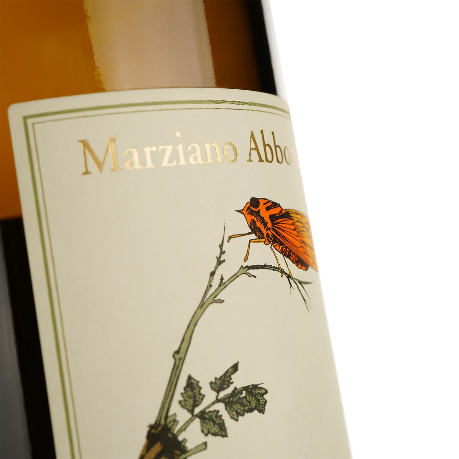 Вино Marziano Abbona Roero Arneis Langhe DOCG Tistin, біле сухе 13% 0,75 л