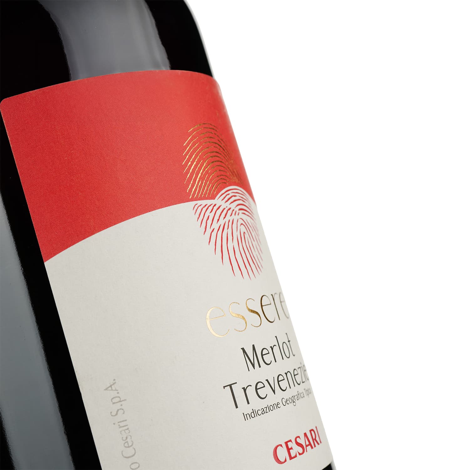 Вино Cesari Merlot Trevenezie IGT Essere червоне сухе 1.5 л