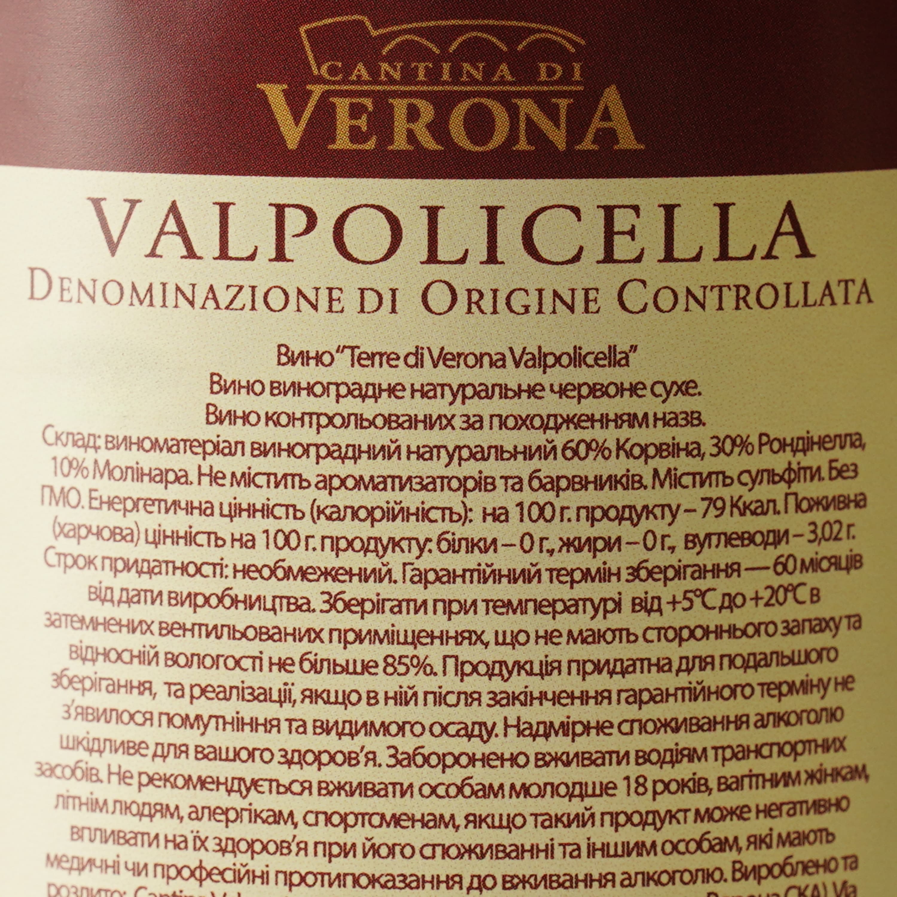Вино Cantina di Verona Terre di Verona Valpolicella, 12%, 0,75 л (AT1Q017)