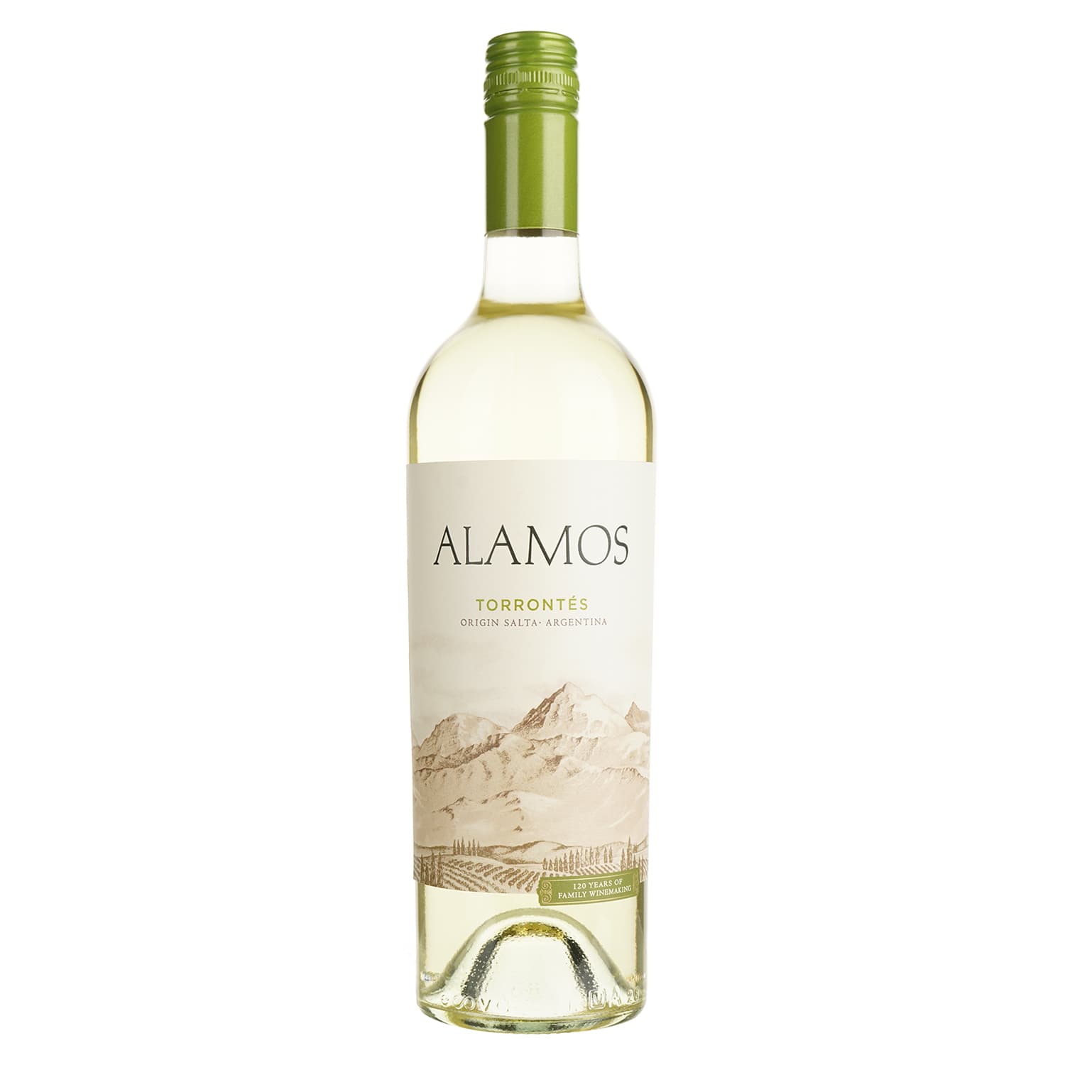 Вино Alamos Torrontes біле сухе 13% 0.75 л