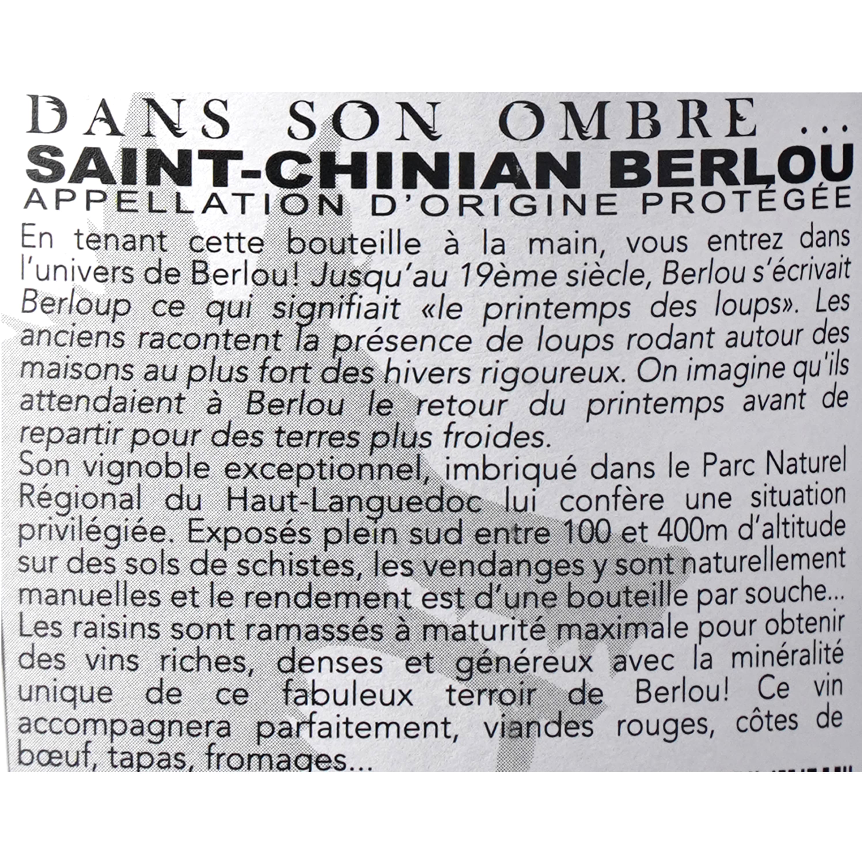 Вино Furiosa Dans Son Ombre AOP Saint Chinian Berlou, червоне, сухе, 0.75 л