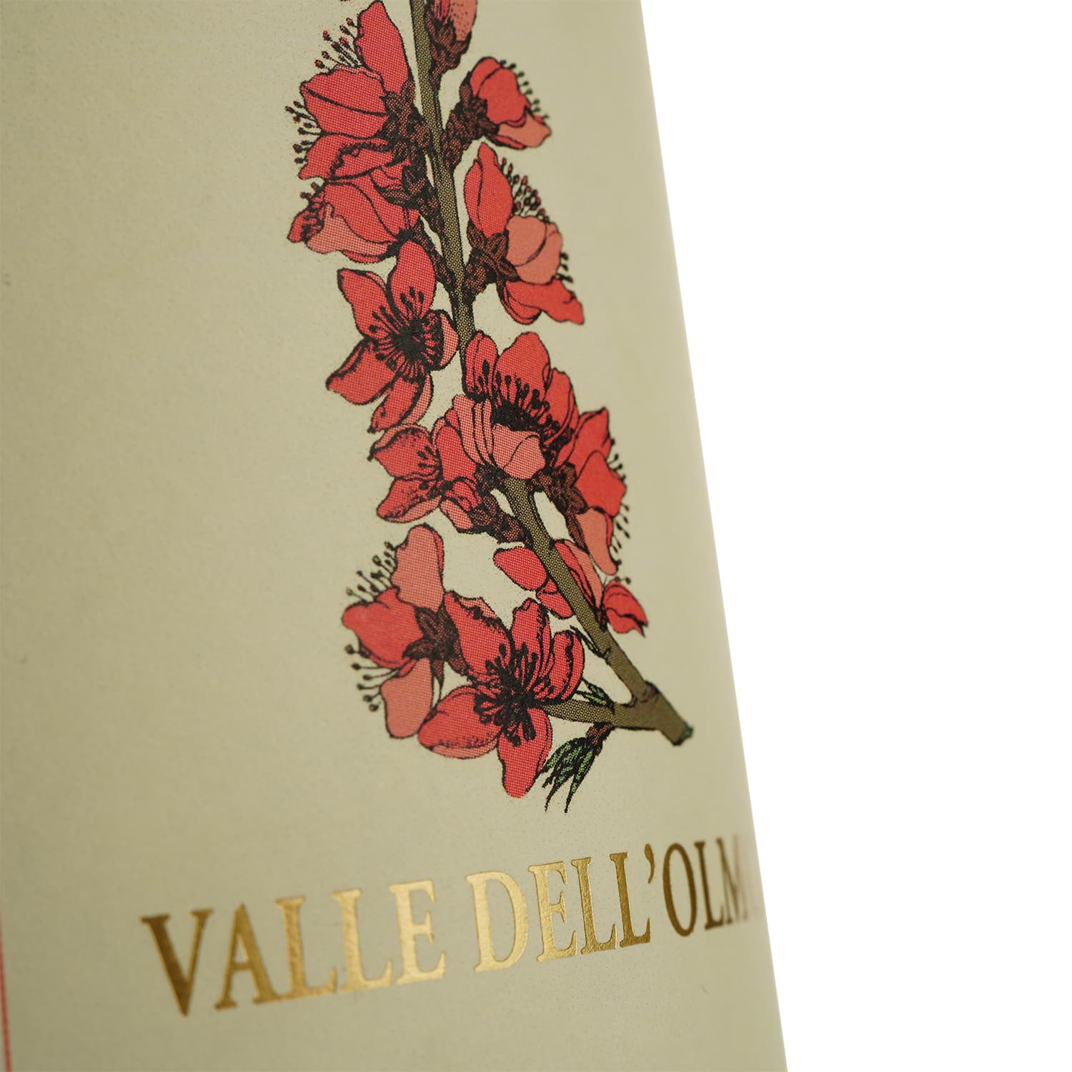 Вино Marziano Abbona Favorita Valle dell Olmo, біле, сухе, 12.45%, 0.75 л