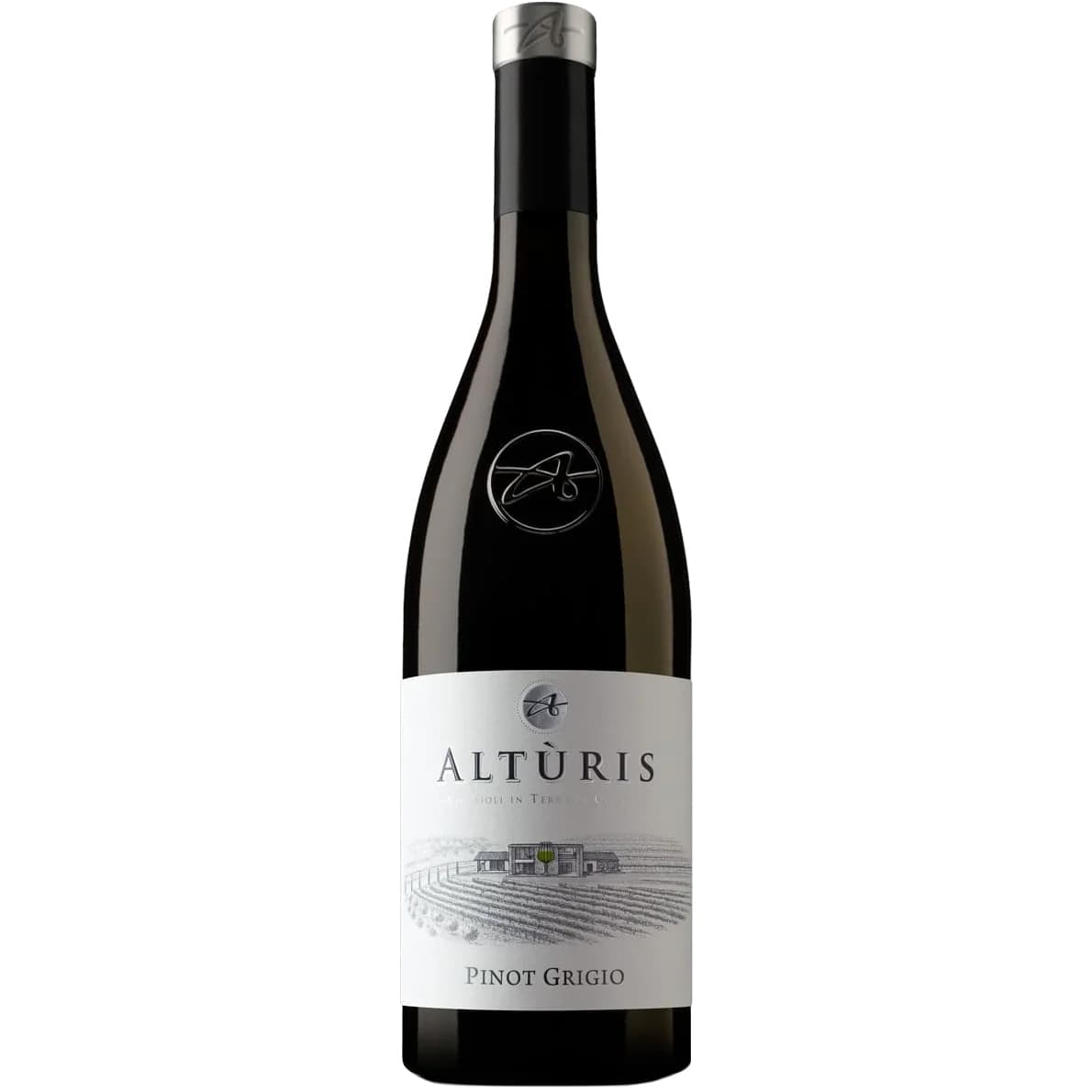 Вино Alturis Pinot Grigio Fruili біле сухе 13% 0.75 л
