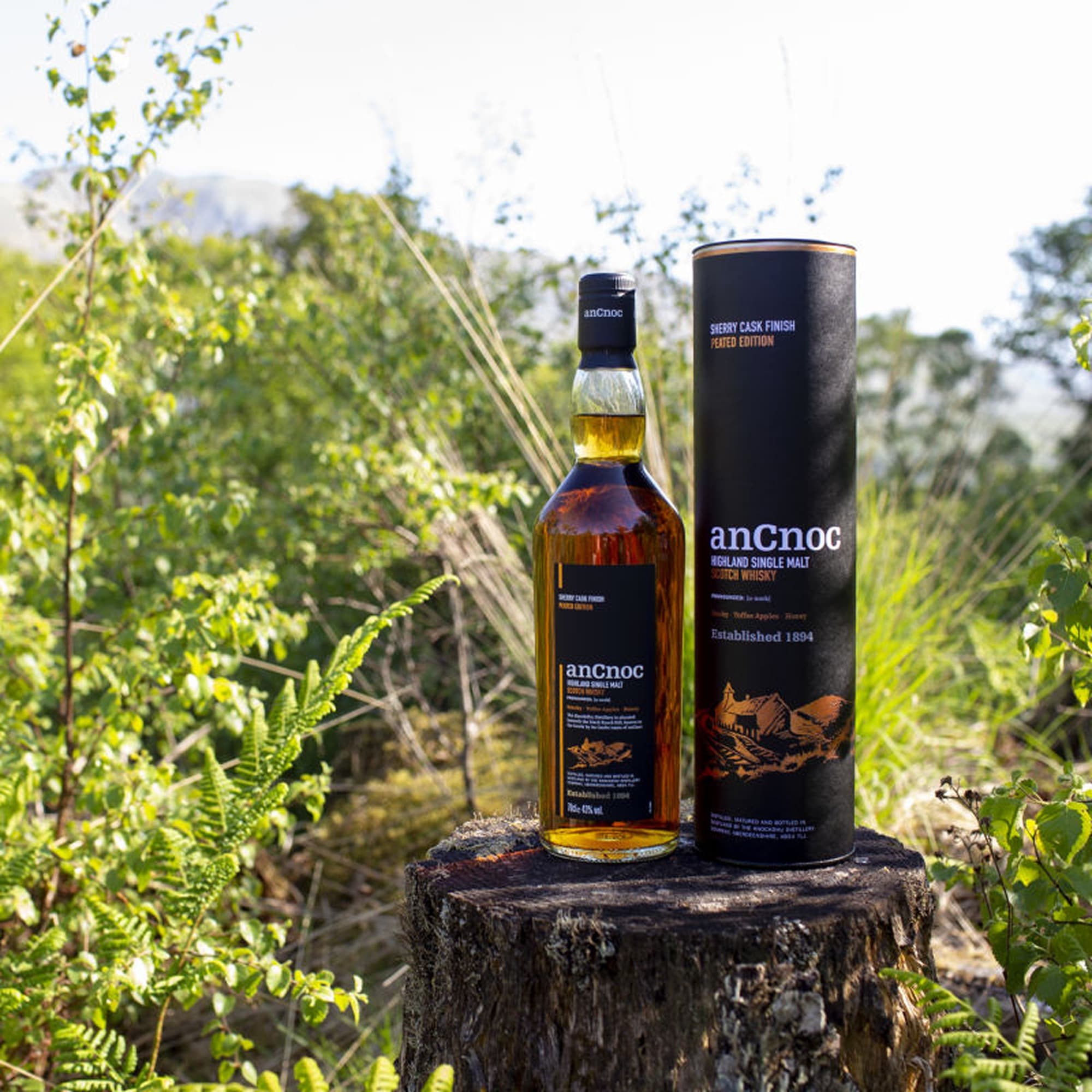 Віскі anCnoc Highland Single Malt в подарунковій упаковці 43% 0.7 л
