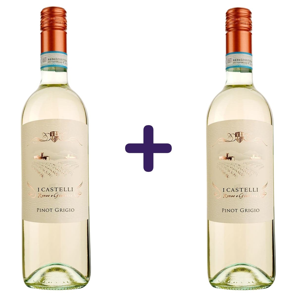 Вино I Castelli Pinot Grigio біле сухе 0.75 л х 2 шт.