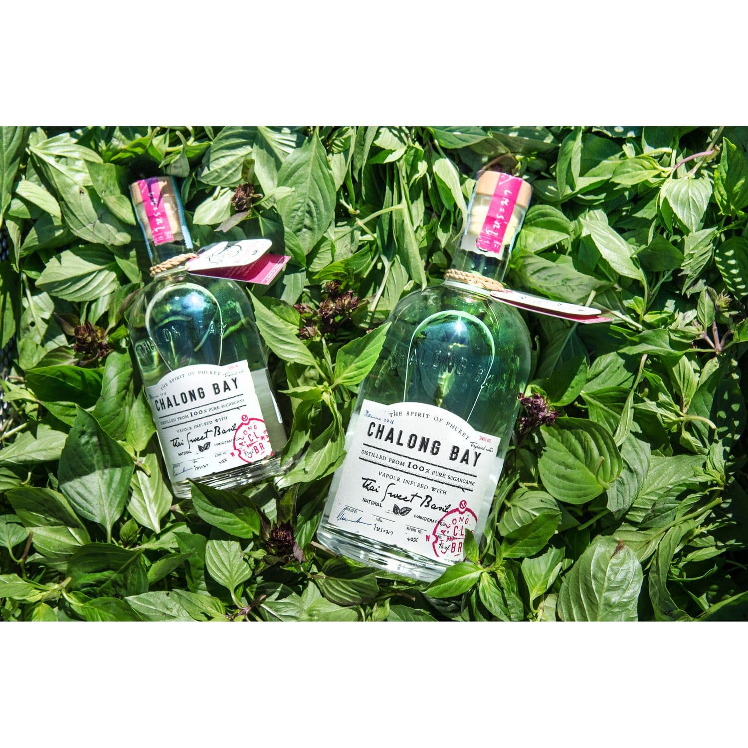 Ром Chalong Bay Thai Sweet Basil 40% 0.7 л